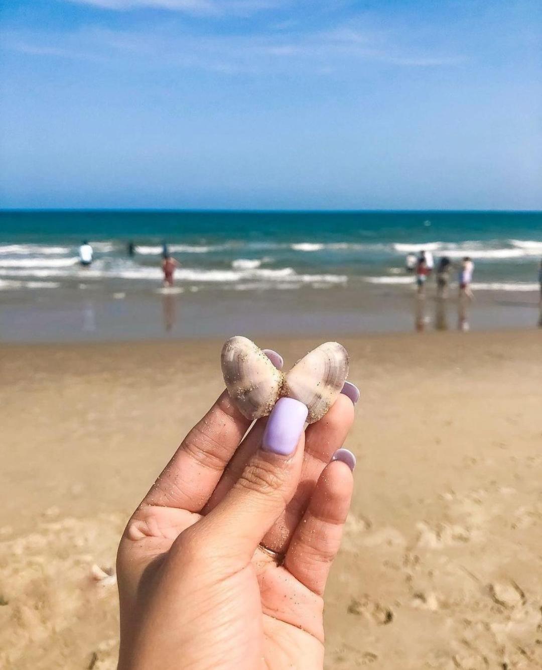 The Elite Beachview 퐁디셰리 외부 사진